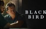 Черна птица (Black Bird)